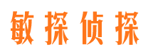 云溪侦探公司